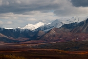 Muldrow Glacier 5234